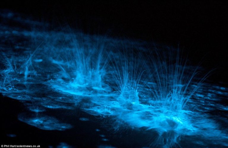 cool natural phenomena cool natural phenomena