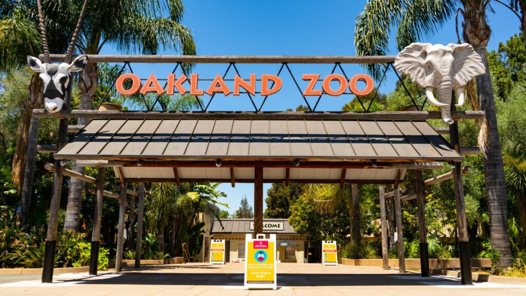 9 Best Zoos in California in 2021 Emlii
