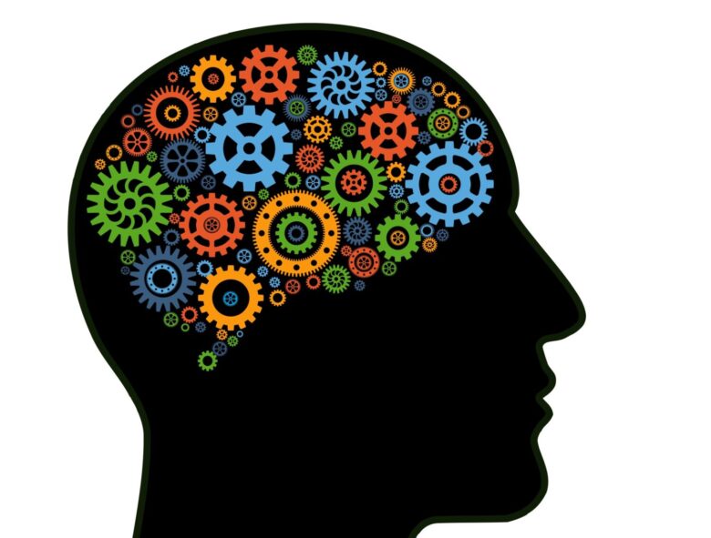 Maximizing Brain Function at Any Age: Tips for Seniors - Emlii